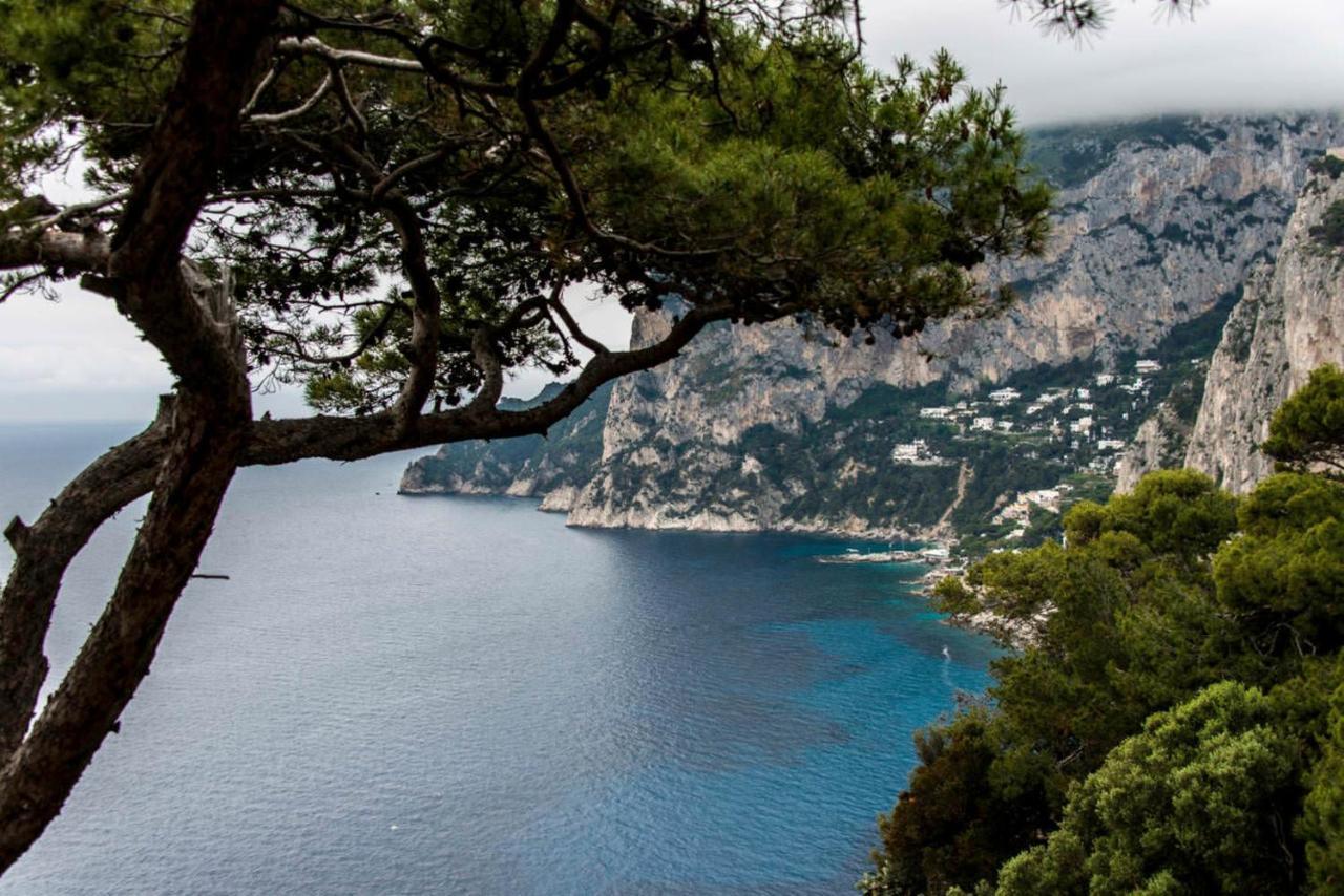 Villacore Κάπρι Εξωτερικό φωτογραφία